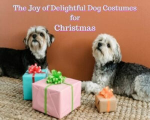 Delightful Dog Costumes for Christmas