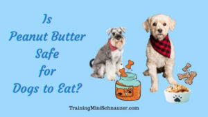 Is Peanut Butter Safe for Dogs to Eat